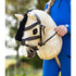 LeMieux Hobby Horse